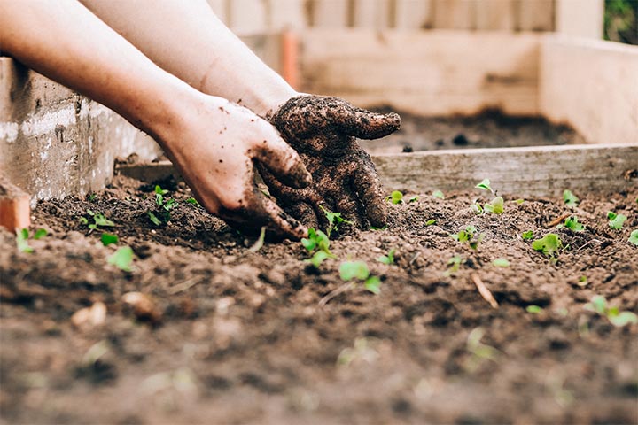 Elevate Your Garden: Waterfall Retaining Wall Planter Tips